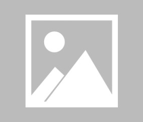 武一帆：四冠封王天下无双！一切尽在安帅盘算中