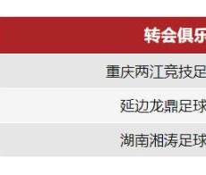 开云体育入口-成都蓉城官宣莱昂纳多等3人离队 外租14名球员